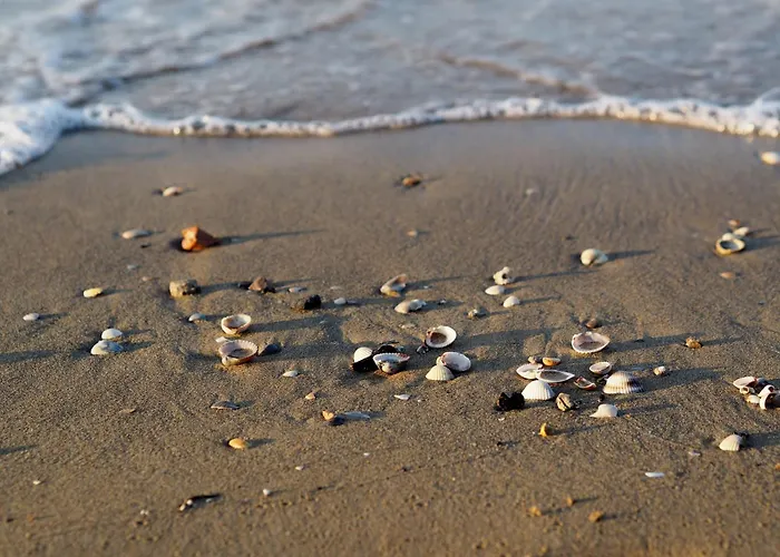 Lejlighed With Garden Parking And Ac Bibione